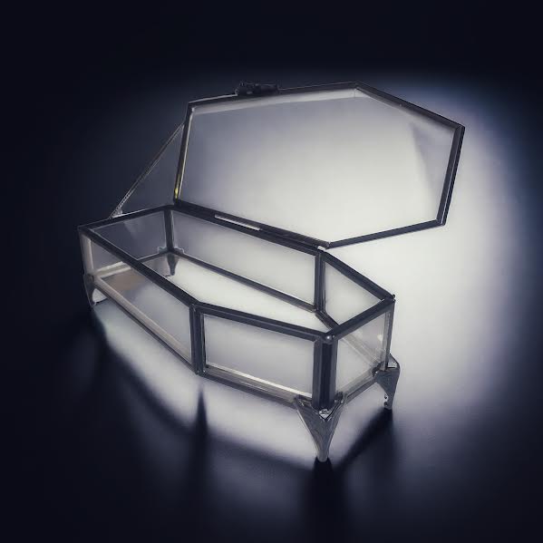 Glass trinket coffin case