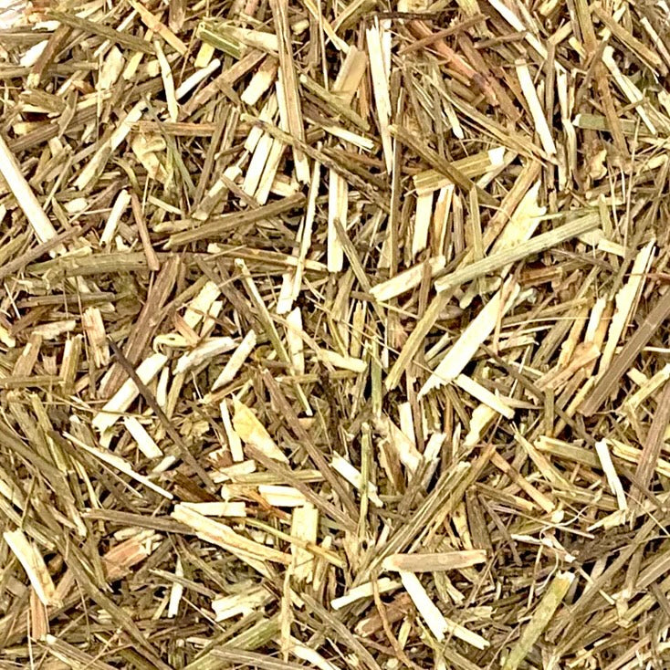 Luna Lovewitch enchanted herbs - Vervain