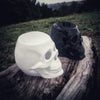 Skull tea light candle oil burner